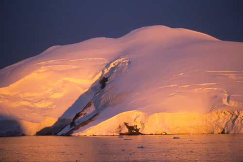Sunlit Ice